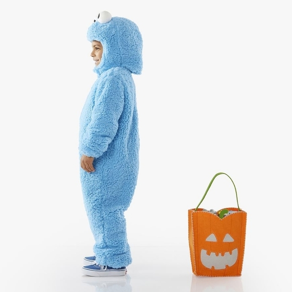 Pottery Barn Kids Sesame Street Cookie Monster Costume - Picture 3 of 7